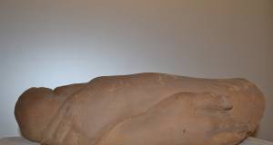 Fragment 1
