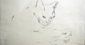 Katze