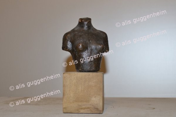 kleiner Torso