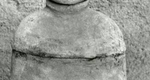Torso