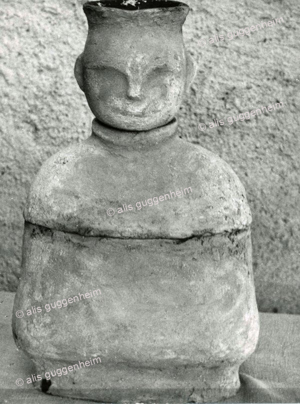 Torso
